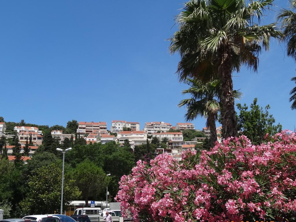 Apartments Roko Dubrovnik Exterior foto